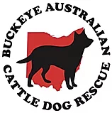 https://www.buckeyeacdrescue.org/assets/bacdr-logo.jpg